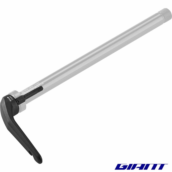 Levier amovible pour axe GIANT 300000172 avec axe