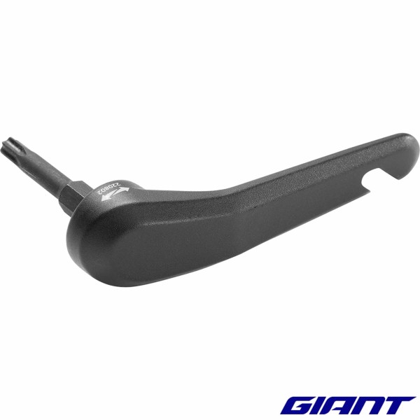 Levier amovible pour axe GIANT 300000172