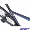 GIANT TCR Advanced Pro 0 AXS 2025 roues carbone