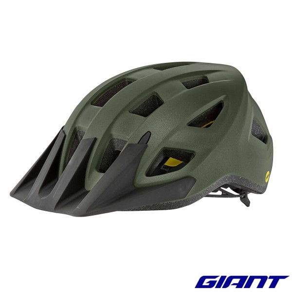 Casque VTT GIANT Path Mips vert