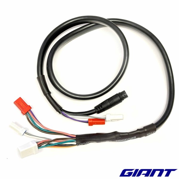 Faisceau électrique GIANT du commodo au moteur 8 pin 730mm