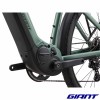 GIANT Explore 1 DD Misty Forest yamaha