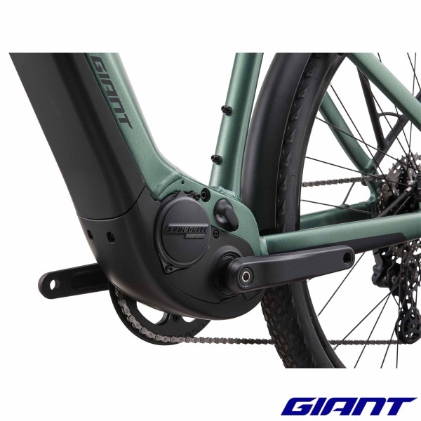 VAE GIANT Explore 1 STA Misty Forest 625Wh