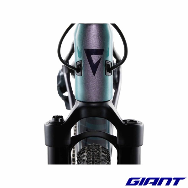 GIANT Revolt X Advanced Pro 0 2023 cables