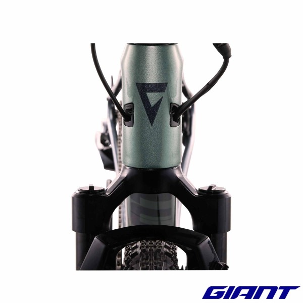 GIANT Revolt X Advanced Pro 2 2023 cables