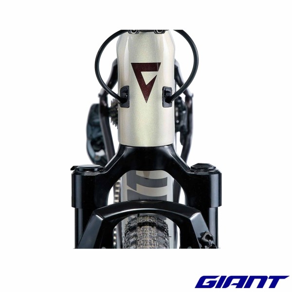 GIANT Revolt X Advanced Pro 1 2024 cables