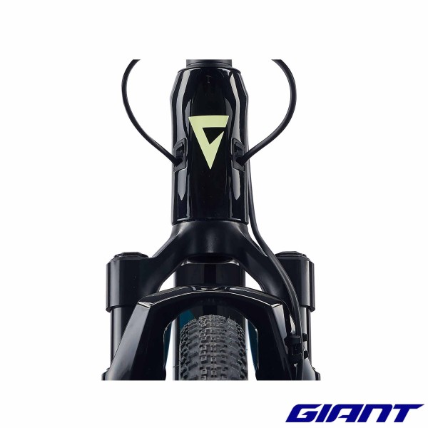GIANT Revolt X Advanced Pro 2 2024 cables 