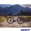GIANT Revolt Advanced Pro 0 2025 couleur