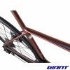 GIANT TCR Advanced SL 0 Dura Ace 2025 couleur