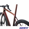 GIANT TCR Advanced SL 0 Dura Ace 2025 cadre