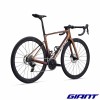 GIANT Defy Advanced Pro 1 2025 vélo