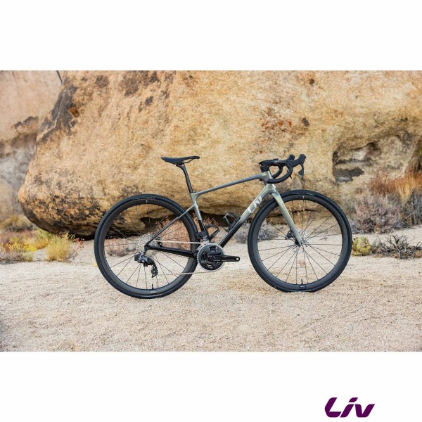 liv Avail Advanced Pro 1 2025 endurance