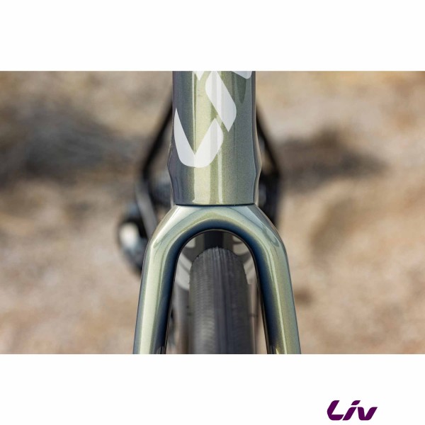 liv Avail Advanced Pro 1 2025 pneu