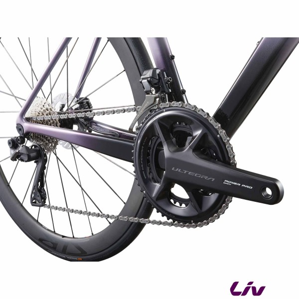 Langma Advanced SL 1 2025 capteur de puissance
