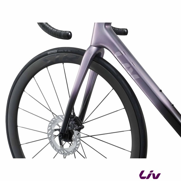Langma Advanced SL 1 2025 slr 0