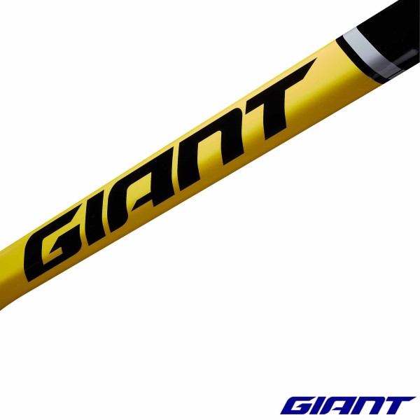 Kit Cadre GIANT TCR Advanced SL Edition Legends 2025 t1100