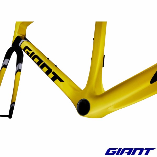 Kit Cadre GIANT TCR Advanced SL Edition Legends 2025 carbone once