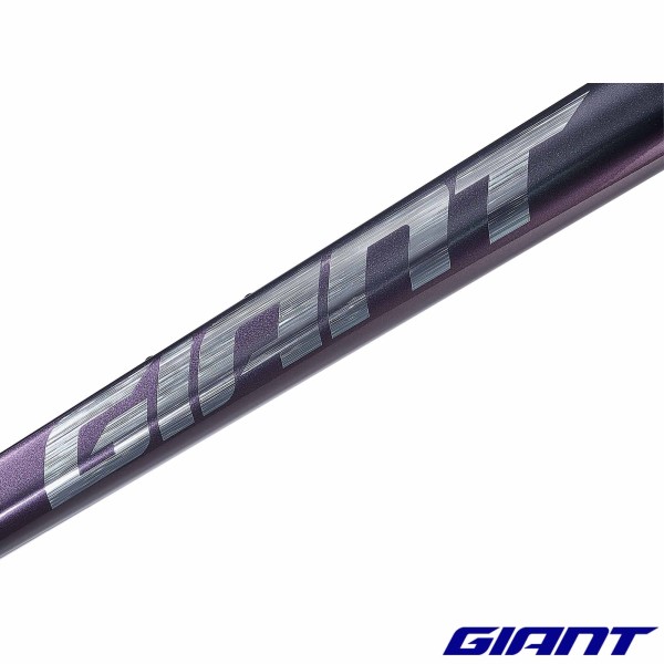 Kit Cadre GIANT TCR Advanced Pro carbone