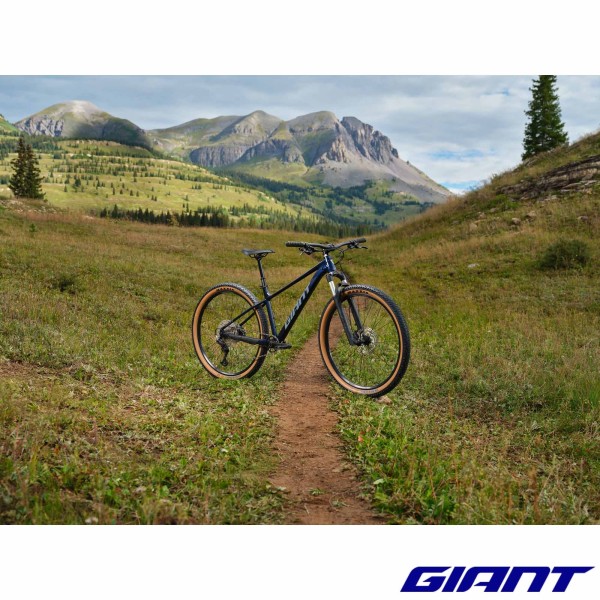 VTT GIANT Talon 0 2025 nature