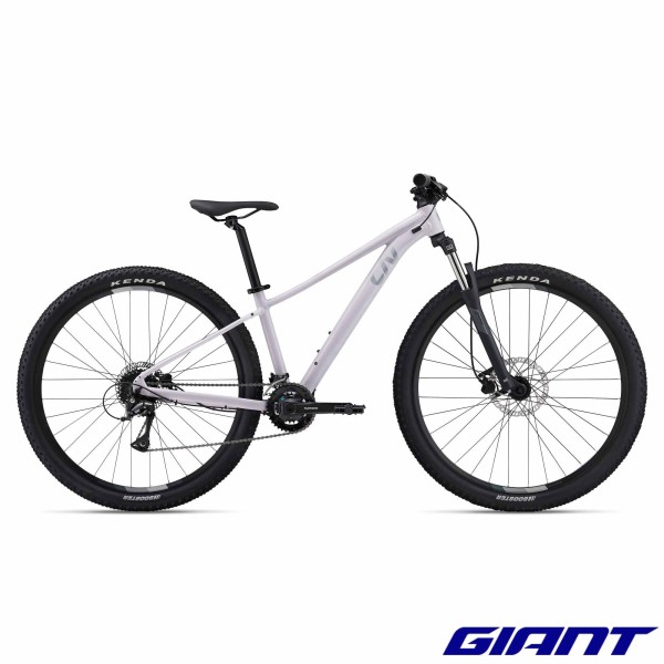 VTT LIV Tempt 3 2024