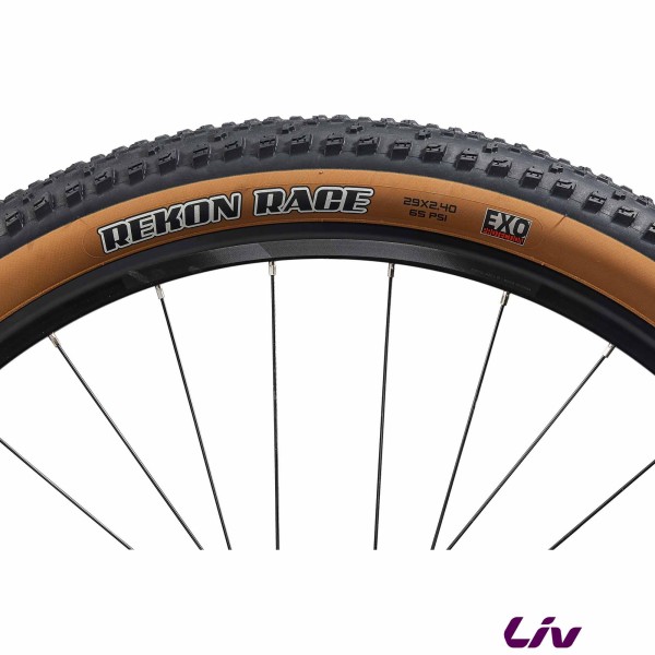 VTT LIV Tempt 1 2025 pneu