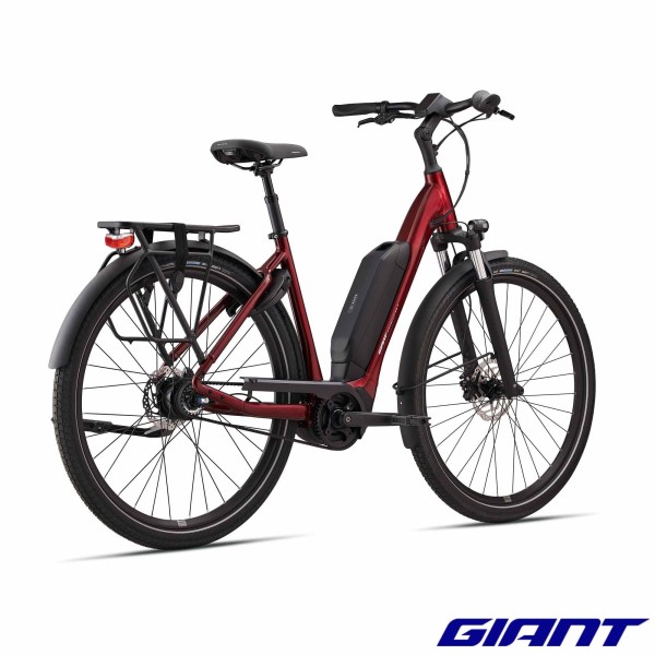VAE GIANT Expression E+ 0 2025 50nm