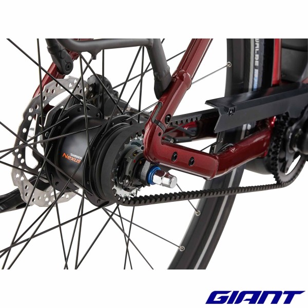 VAE GIANT Expression E+ 0 2025 courroie