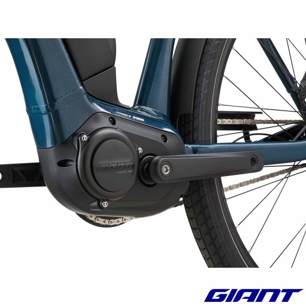 VAE GIANT Expression E+ 1 2025 yamaha
