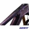 VTTAE GIANT Trance X Advanced E+ Elite 0 2023 couleur