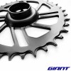 Plateau FSA pour GIANT Fathom-E et Vall-E 2022 Plateau FSA Megatooth A 36T 