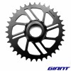 Plateau FSA pour GIANT Fathom-E et Vall-E 2022 Plateau Megatooth A 36T de FSA