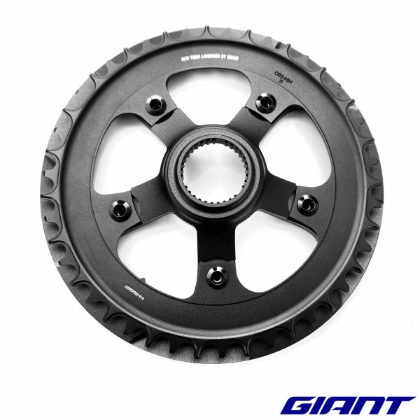 Plateau Praxis GIANT Explore Amiti Pro de 2023-2025 PRAXIS 46T 110BVD 10/11/12SP