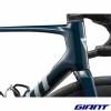 GIANT Defy Advanced Pro 0 2026 carbone