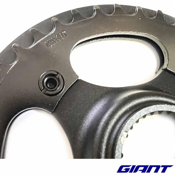 Plateau 38 dents pour GIANT Stormguard 1 & 3 vélo