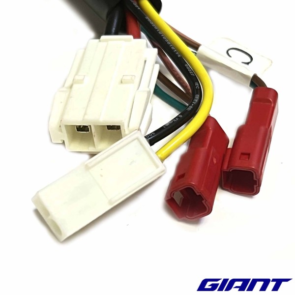 Connecteur de batterie VAE GIANT AnyTour 2020 et 2021