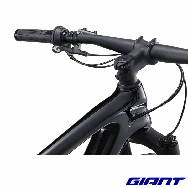 GIANT Anthem Advanced 29 4 2025 guidon