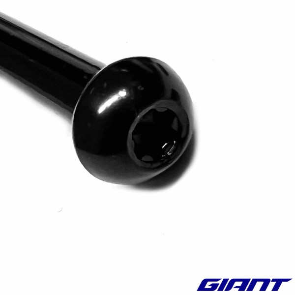 Vis support moteur pour VAE GIANT explore