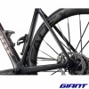 GIANT Propel Advanced SL 0 RED 2026 disc