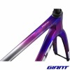 Kit cadre GIANT Propel Advanced SL Jayco AlUla 2026 couleur
