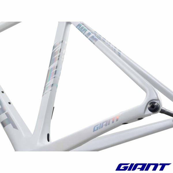 Kit cadre GIANT Propel Advanced Pro 2026 arrière