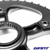 Plateau 46t pour VAE GIANT Explore 1 et Amiti 1 2023