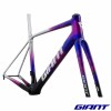 Kit cadre velo GIANT TCR Advanced SL Team Jayco AlUla 2026