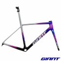 Kit cadre GIANT TCR Advanced SL Team Jayco AlUla 2026