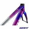 Kit cadre de GIANT TCR Advanced SL Team Jayco AlUla 2026