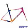 Kit cadre de GIANT TCR Advanced Pro 2026 Neon Flux