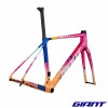 Kit cadre course GIANT TCR Advanced Pro 2026 Neon Flux