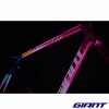 Kit cadre GIANT TCR Advanced Pro 2026 Neon Flux couleur