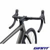 GIANT TCR Advanced 2 2026 guidon