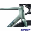 GIANT TCR Advanced 0 2026 carbone