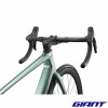 GIANT TCR Advanced 0 2026 guidon